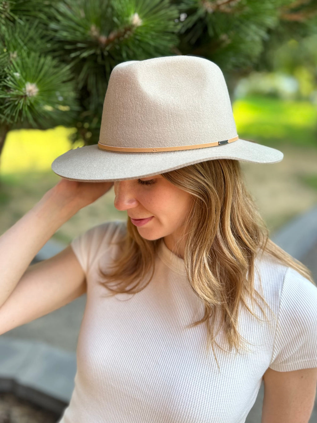 Brixton felted hat