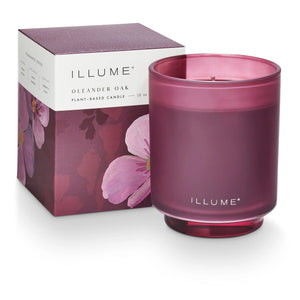 ILLUME Boxed Glass Candle